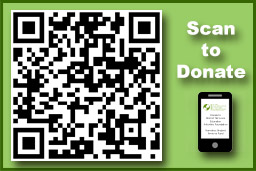 Donate to the Homeless Student Services Fund