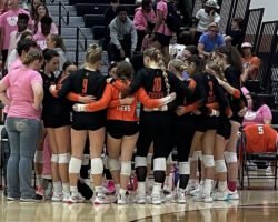 <p class="title">Title: It’s in our DNA</p>
Photo by: Brooke Lieser It’s in our DNA