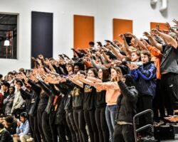 <p class="title">Title: Tiger Pride</p>
Photo by: Beth Fenstad Tiger Pride