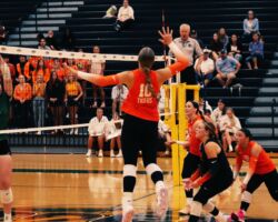 <p class="title">Title: 500 Kills!</p>
Photo by: Miriam ritter 500 Kills!