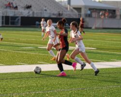 <p class="title">Title: Go For Goal</p>
Photo by: Elizabeth Hennen Go For Goal