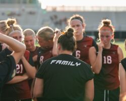 <p class="winner">2nd Period WINNER</p><p class="title">Title: Tigers On 3 Family On 6</p>
Photo by: Elizabeth Hennen Tigers On 3 Family On 6