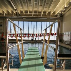 <p class='title'>Title: Taking the plunge</p>
Photo by: Rebecca J Marohl