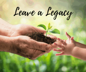 helping hands